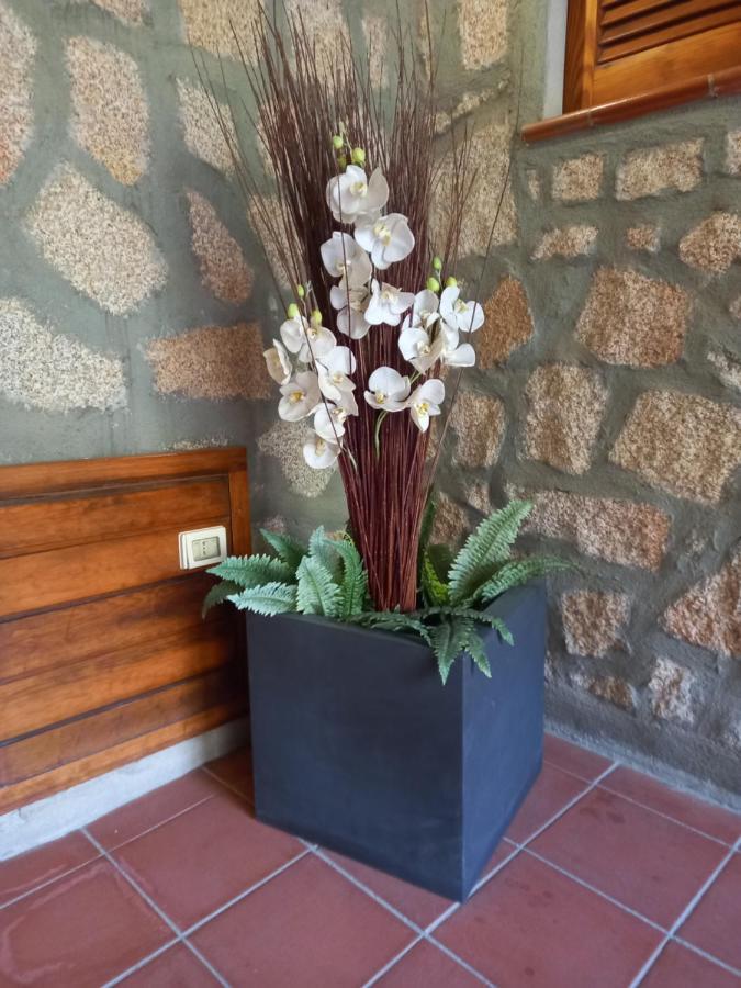 Hotel Olimpia Baja Sardinia Bagian luar foto